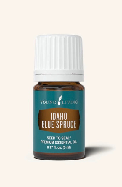 Idaho Blue Spruce Essential Oil | 5ml