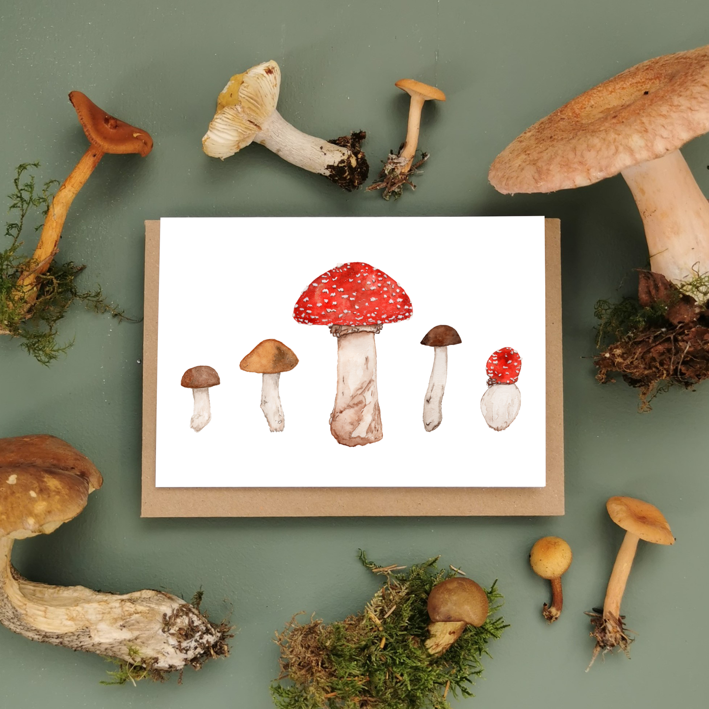 Toadstools Greetings Cards