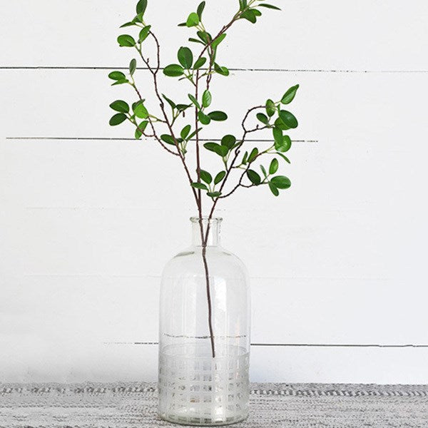 Etched Glass Vase | 14"