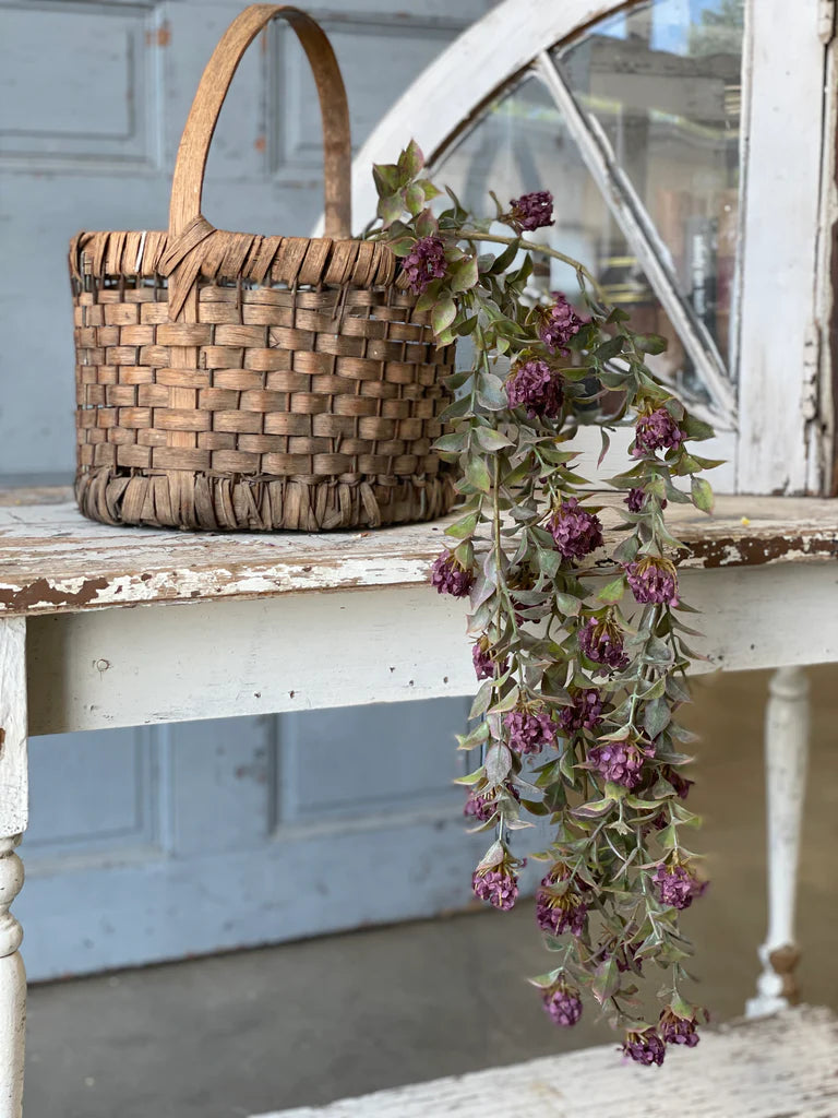 Late Bloomer Hanging Bush | Plum | 37"