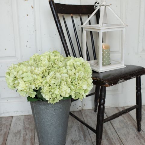 Light Green Hydrangea Stem