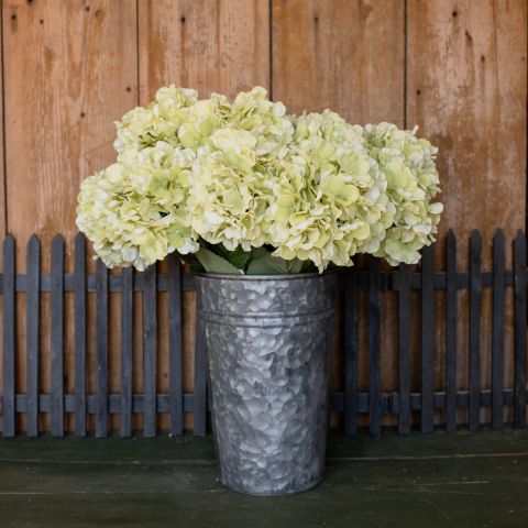 Light Green Hydrangea Stem