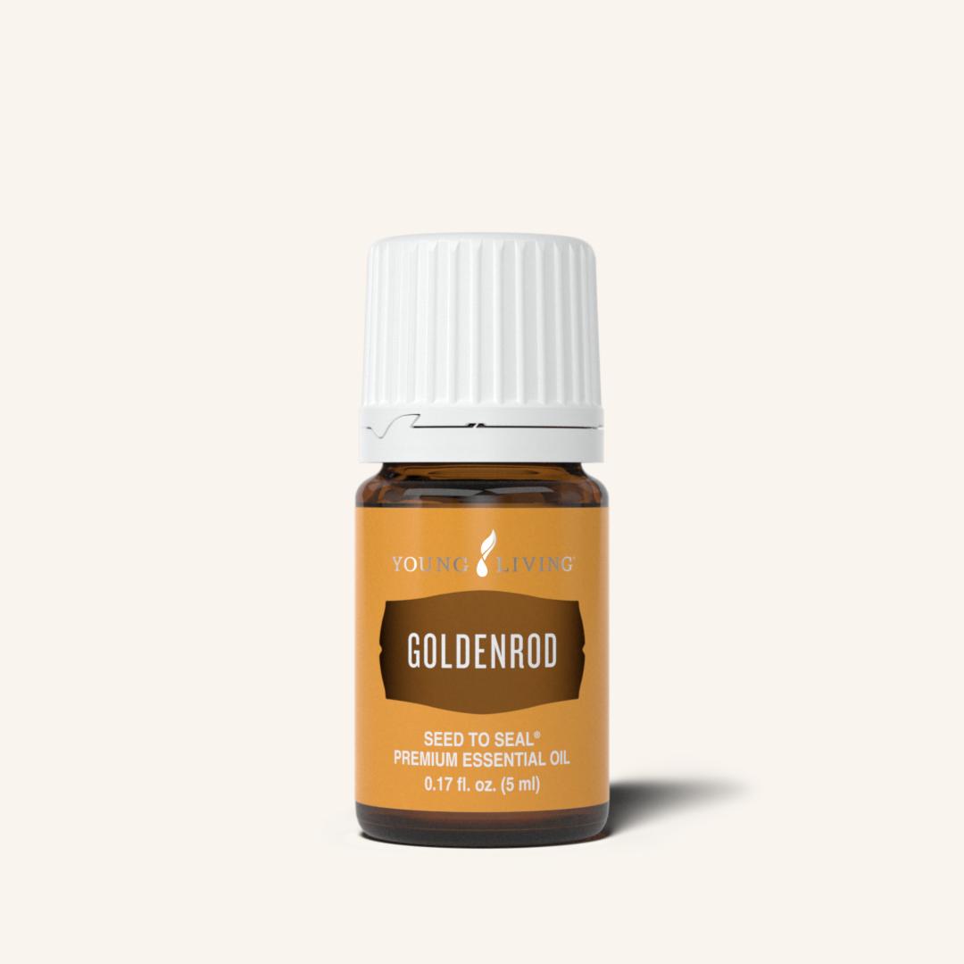 Goldenrod Essential Oil | 5ml