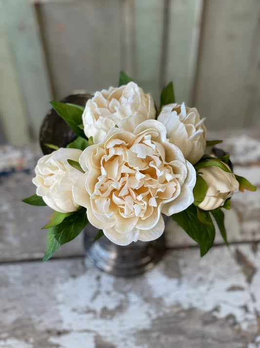 Floret Peony Bundle | 12" | Cream