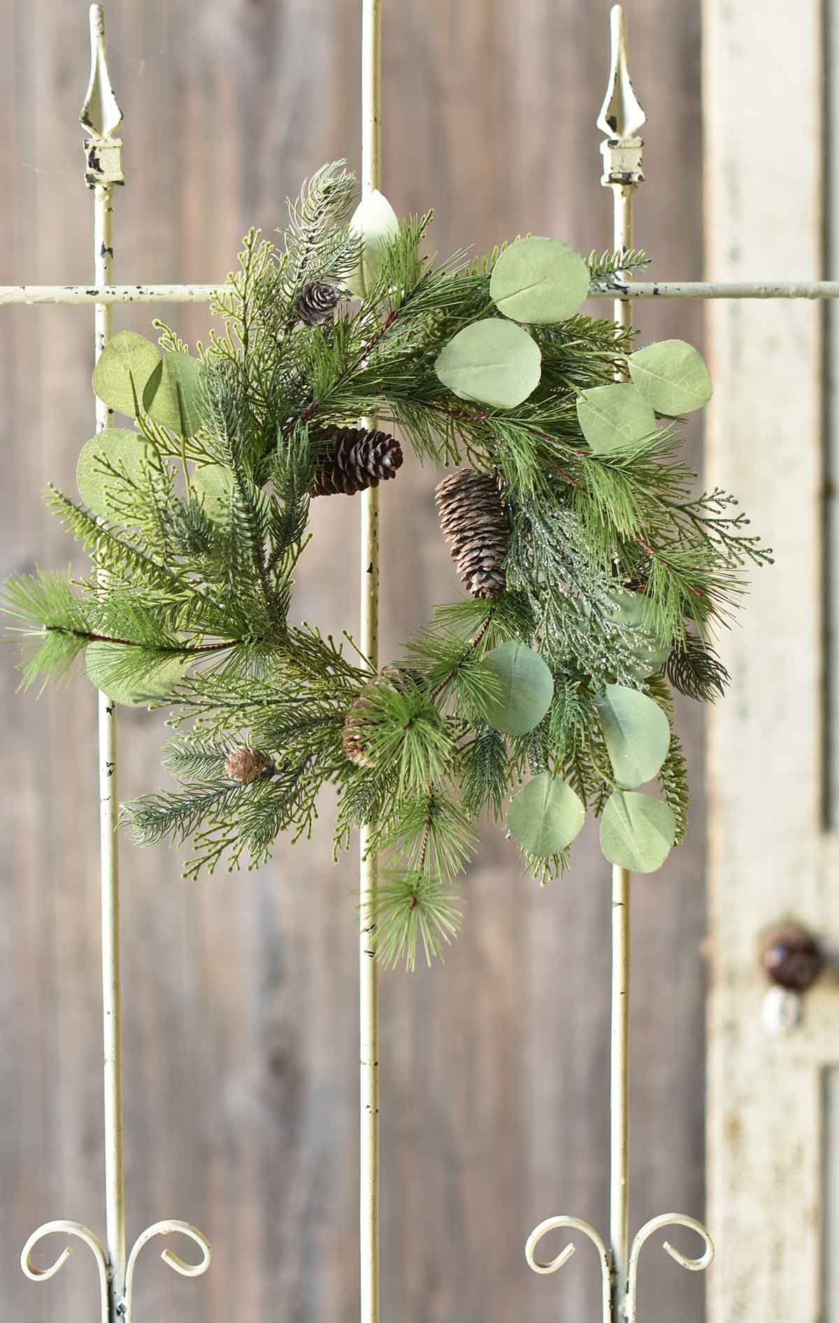 Forest Glory Eucalyptus Collection