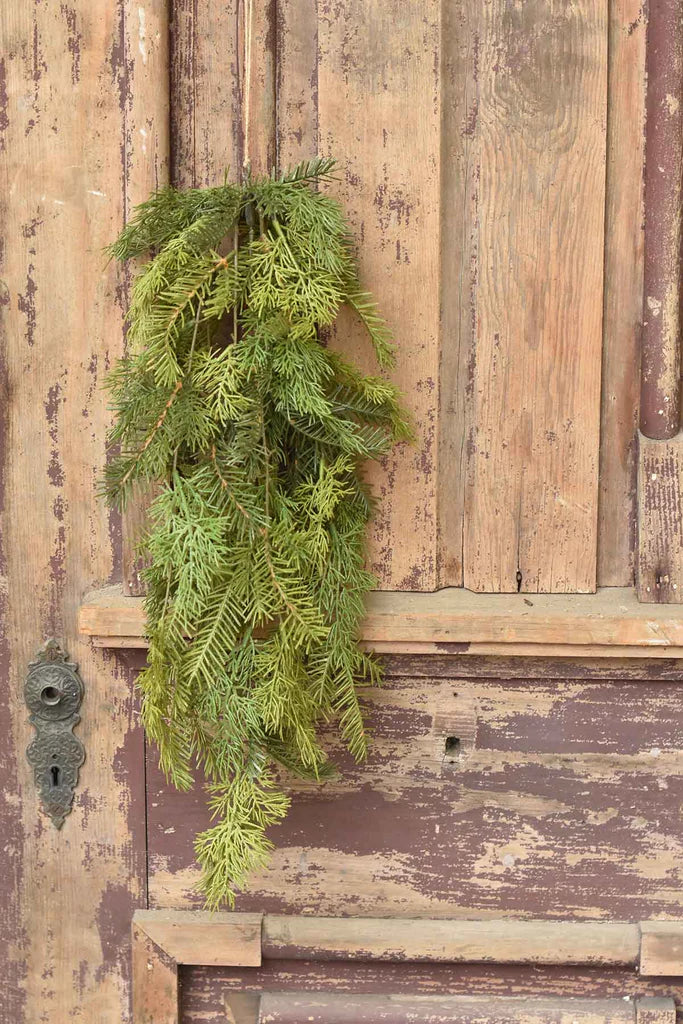 Sticky Cedar Collection