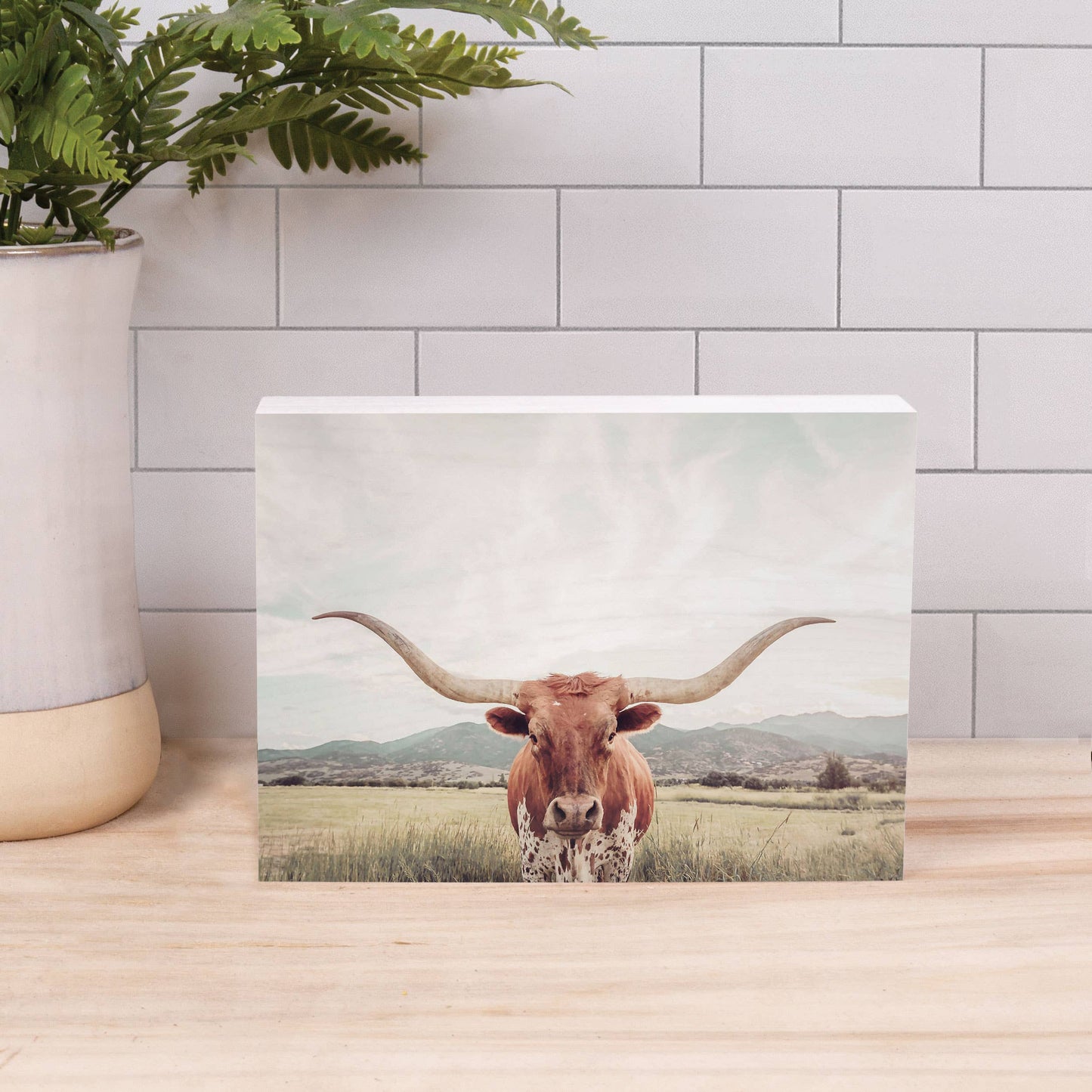 Longhorn Wood Block Décor