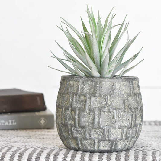 Check Stonewash Planters